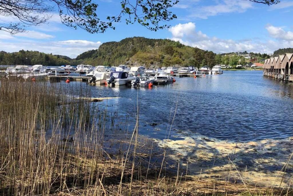 Mandal Apartment Mit Moeglichkeit Ein Boot Zu Benutzen Und Angeln Exteriér fotografie